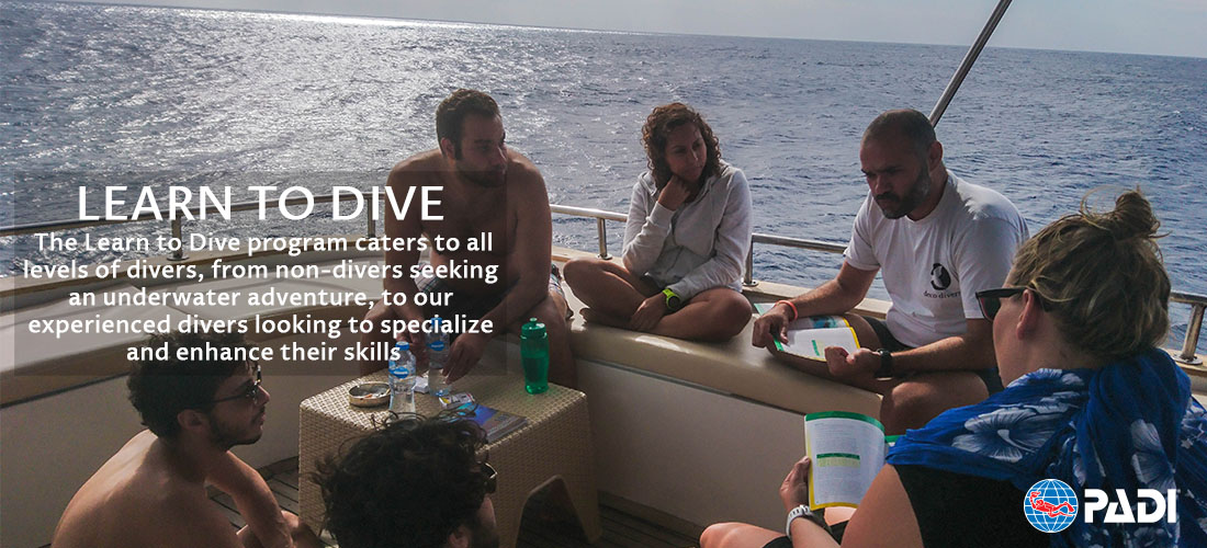 Banner 1 (Learn to Dive)